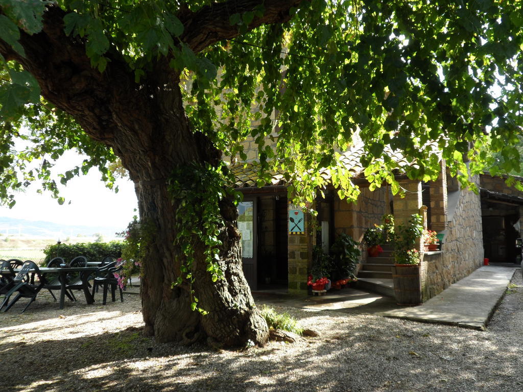 Hotel Mola Solis Civitella dʼAgliano Exterior foto