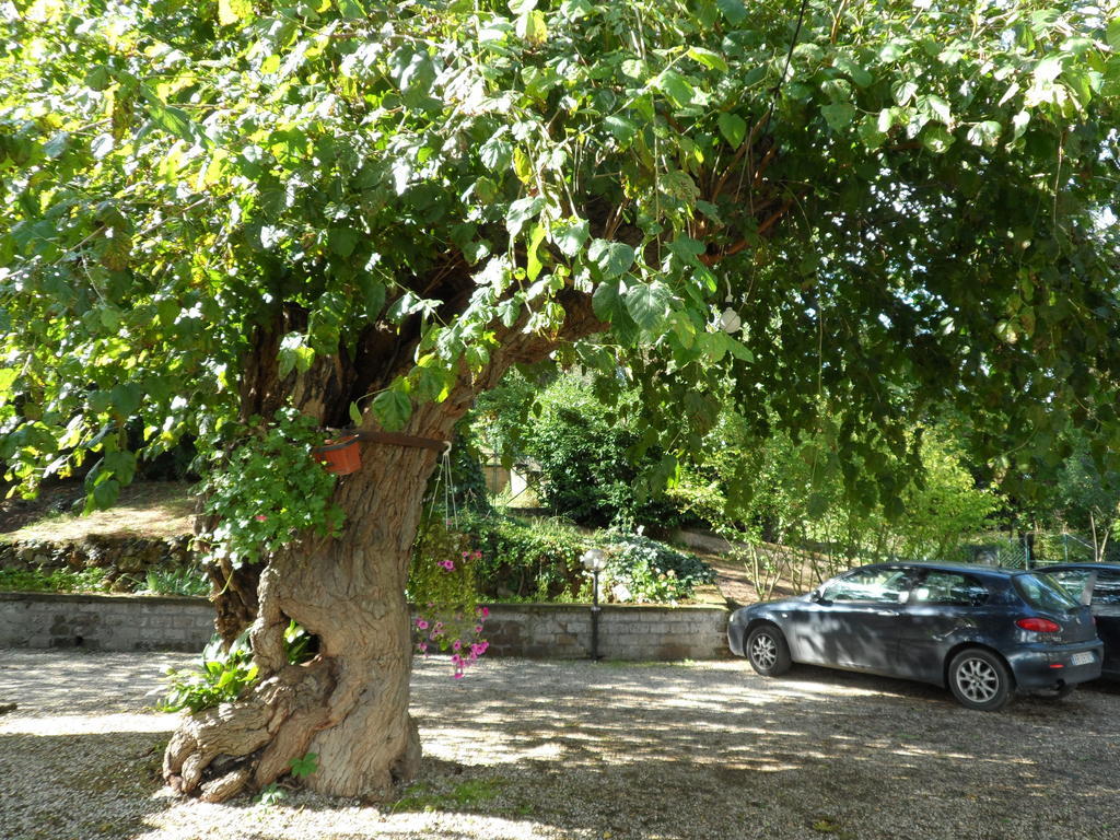 Hotel Mola Solis Civitella dʼAgliano Exterior foto